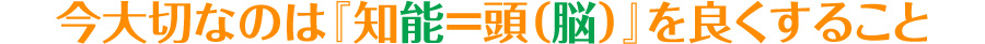 今大切なのは『知能＝頭（脳）』を良くすること